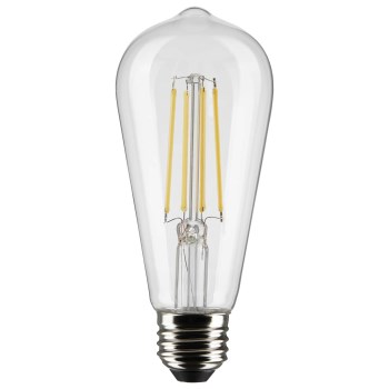 ST19 LED Edison Bulb, 2700K - 8W, 2pk