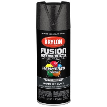 Krylon Fusion Spray Paint, Hammered Black - 12 oz
