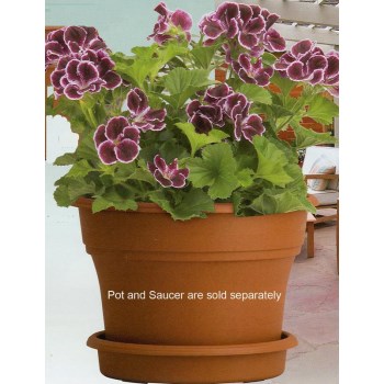 Panterra Pot, Clay Color ~ 14"