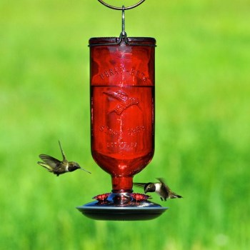 Red Antique Glass Hummingbird Feeder - 16 oz