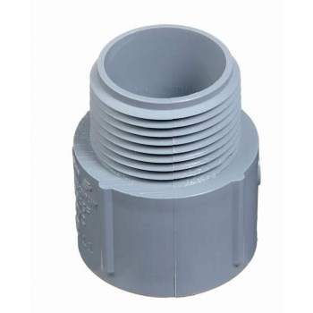 Cantex PVC Male Terminal Adapter - 1/2"