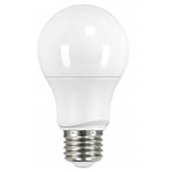 6W A19 LED Bulb