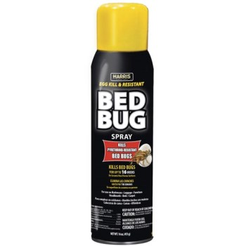 Bedbug Aerosol - 16 oz