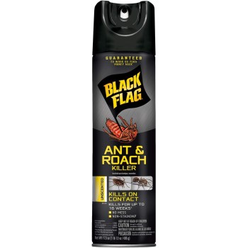 Ant & Roach Killer, Unscented Aerosol