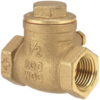 Check Valve ~ 1"