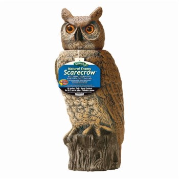Rho4cus 18 Rotating Head Owl