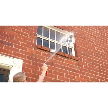 Wasp & Hornet Killer Spray - 16 oz