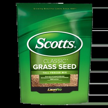 Scotts Classic Tall Fescue Grass Seed   3 Lb
