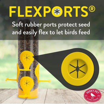 Classic Finch Feeder