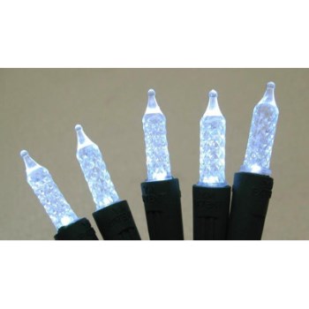 Santa's Forest Mini LED String Lights  Clear   50 ct