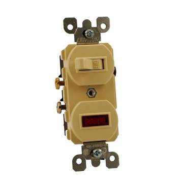 Neon Switch & Pilot Light - 15 Amp, Ivory