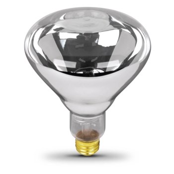 Heat Lamp  Clear  120 Volt 125 Watt 