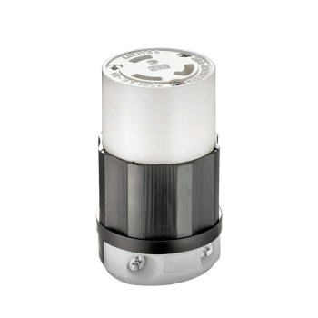 250v Lock Plug