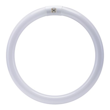 Fluorescent Light Bulb, Circular 32 Watt