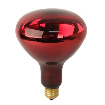 Heat Lamp Light Bulb, Red 120 Volt 250 Watt 