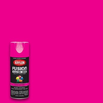 Krylon Fusion Spray Paint - Gloss Hot Pink, 12 oz
