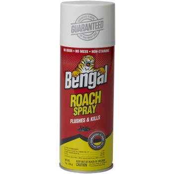 Roach Spray ~ 9 oz Can 