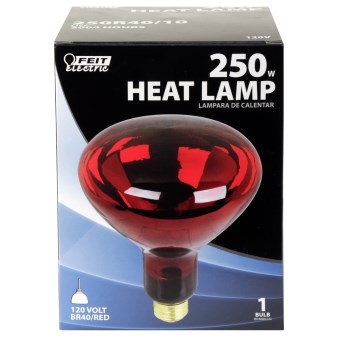 Heat Lamp Light Bulb, Red 120 Volt 250 Watt 