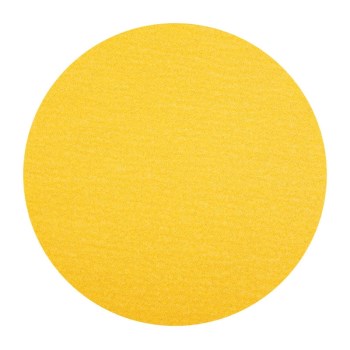 Norton Hook & Loop Sanding Disc - 9", 100 Grit
