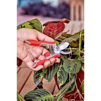 Corona Mini Houseplant Pruner