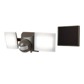 Bronze Motion Light