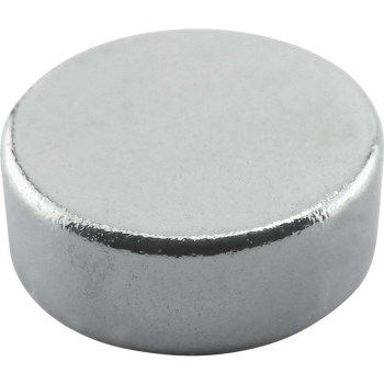Master Magnetics Neodymium Super Magnets - 0.315" Dia, 10pk