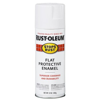 Enamel Spray Paint, Flat White - 12 oz