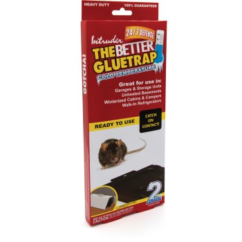 2pk Cold Temp Glue Trap