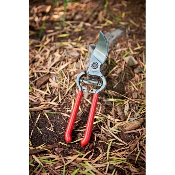 Corona ClassicCUT Forged Bypass Pruner - 3/4"