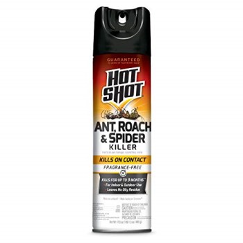 Ant, Roach & Spider Killer