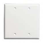 2Gang Blank Plate - Double, White 