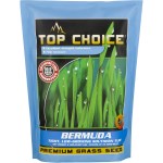 Bermuda Grass Seed - 2 Lb