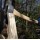 Toughstrike Single Bit Michigan Axe - 3.5 Lb, 36" Handle