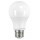 6W A19 LED Bulb