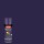 Krylon COLORmaxx Spray Paint, Gloss Purple - 12 oz