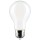 8W LED A19 Bulb