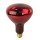 Heat Lamp Light Bulb, Red 120 Volt 250 Watt 