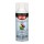 Krylon COLORmaxx Spray Paint, Satin Crystal Clear - 12 oz