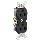 Duplex Receptacle, Narrow Body ~  20 Amp, Brown