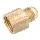 Lead Free Brass Flare Coupling, Female - 3/8" x 3/4"