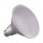 15W LED PAR38 Bulb