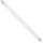 Florescent Light Bulb, Bi-Pin 18 Inch 15 Watt