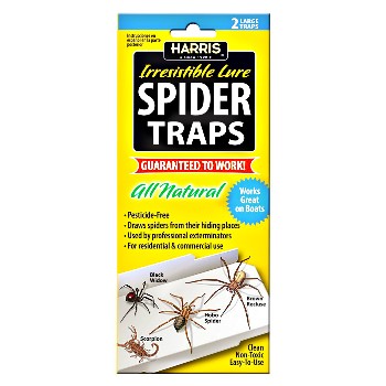 Harris Strp Spider Trap 2 Pack