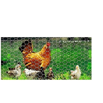 Mazel 501150362 Poultry Hex Netting 36" X 150 Ft ~ 2" X 20 Gauge