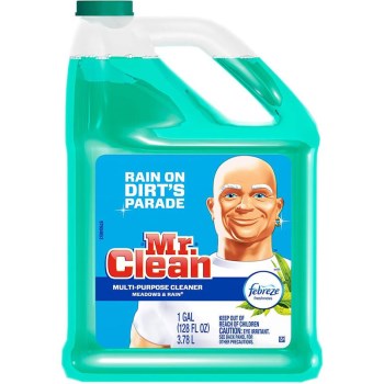 10725 64oz Mr Clean Liquid