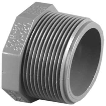 2 Sch80 Mpt Plug