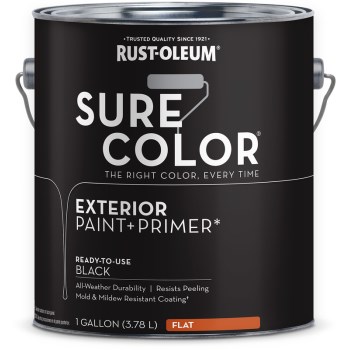 1g Fl Ext Black Paint