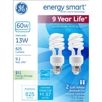 UPC 043168421058 product image for General Electric  42105 CFL Bulb - 13 watt/60 watt ~ Soft White | upcitemdb.com