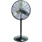 30 Pedestal Fan