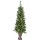 4.5 Plt Mxd Frst Pine